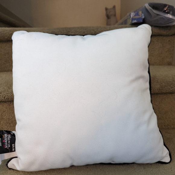 15 x 15 Dia de los Meurtos throw pillow - Picture 3 of 3